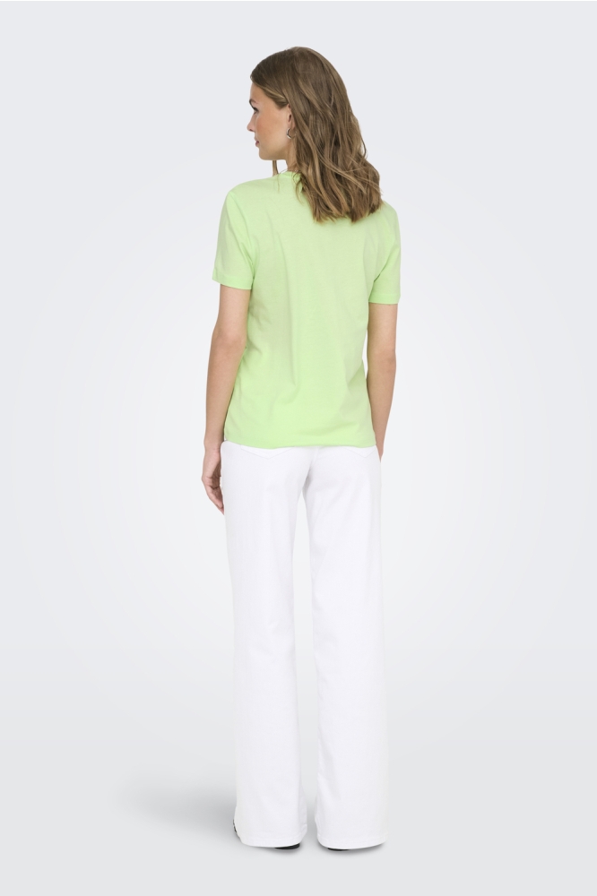 ONLKELSEY LIFE S/S REG TEE CS JRS 15363836 PARADISE GREEN/COCKTAILS
